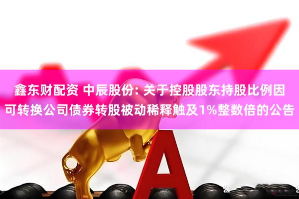 鑫东财配资 中辰股份: 关于控股股东持股比例因可转换公司债券转股被动稀释触及1%整数倍的公告